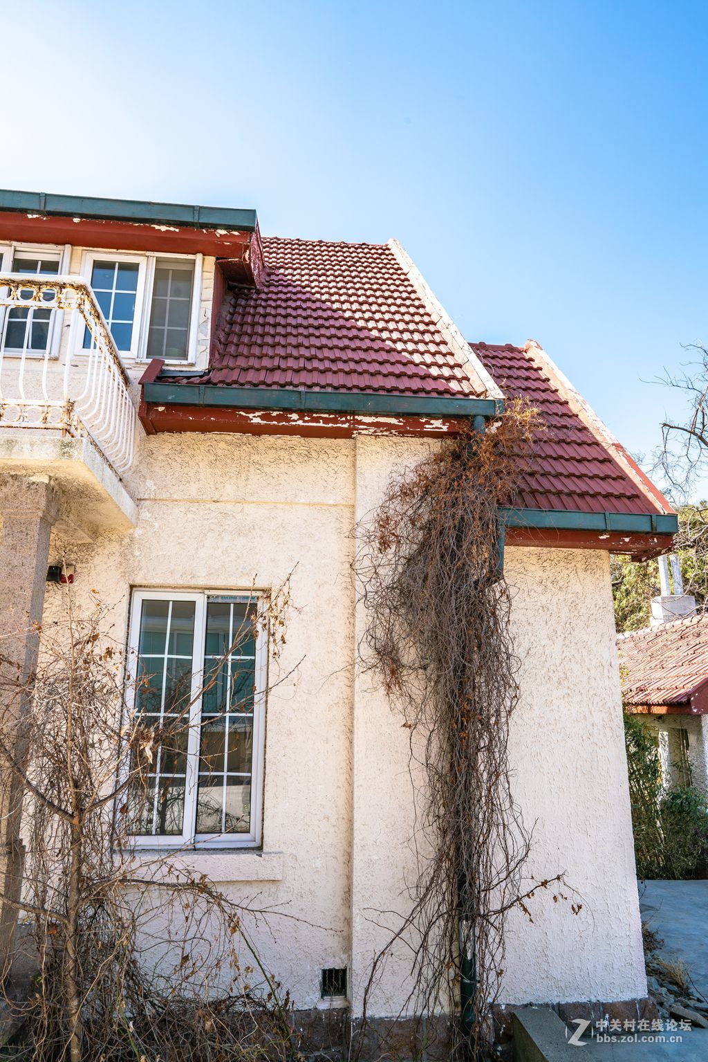 老房子（湛山一路五号）