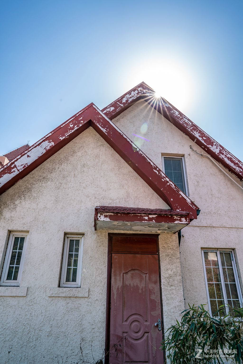 老房子（湛山一路五号）