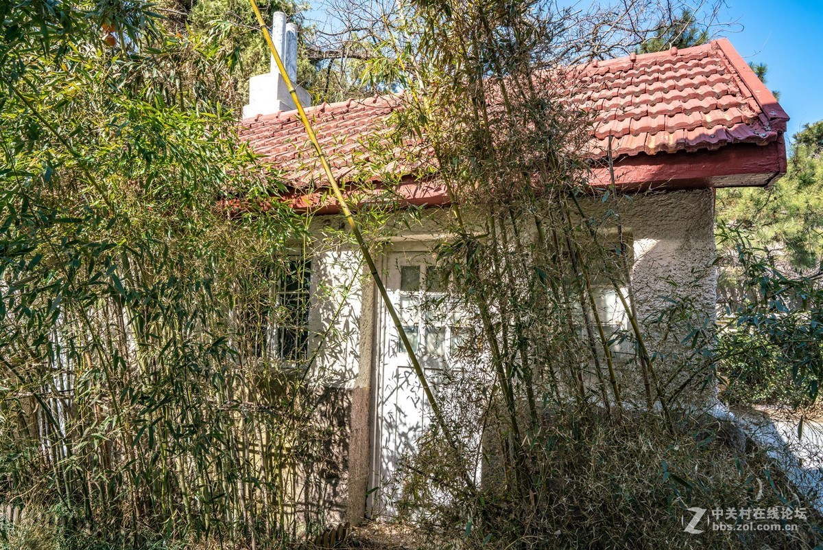 老房子（湛山一路五号）