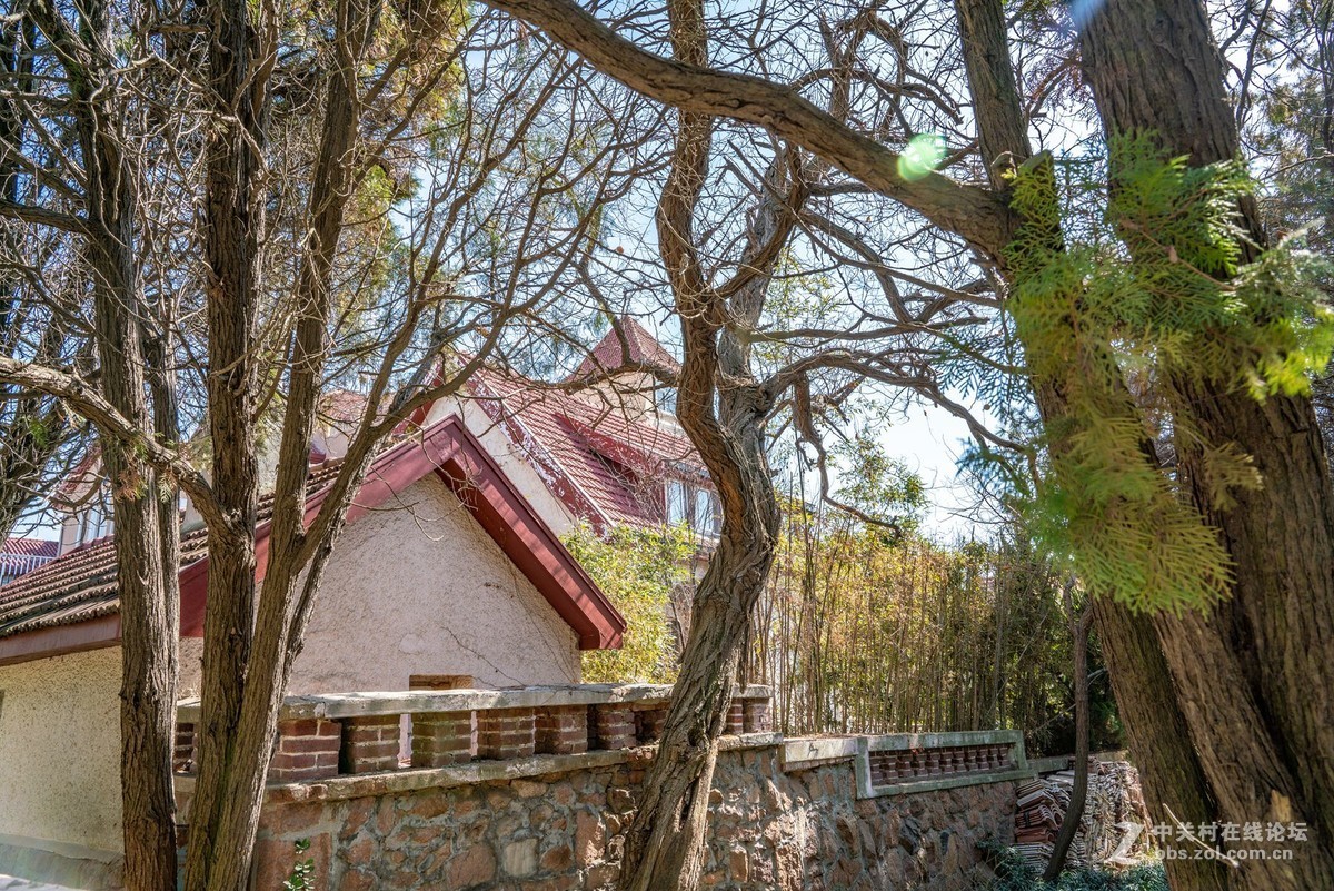 老房子（湛山一路五号）