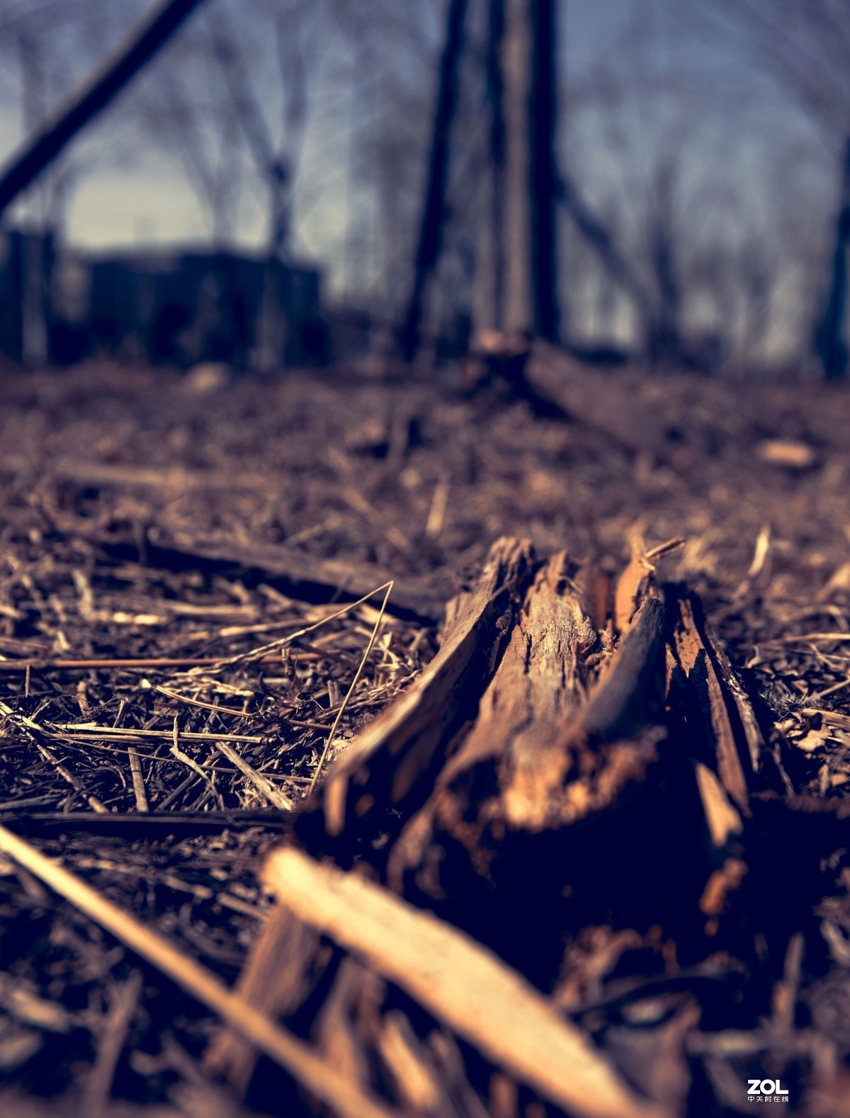 身边可见的，春春欲动！！