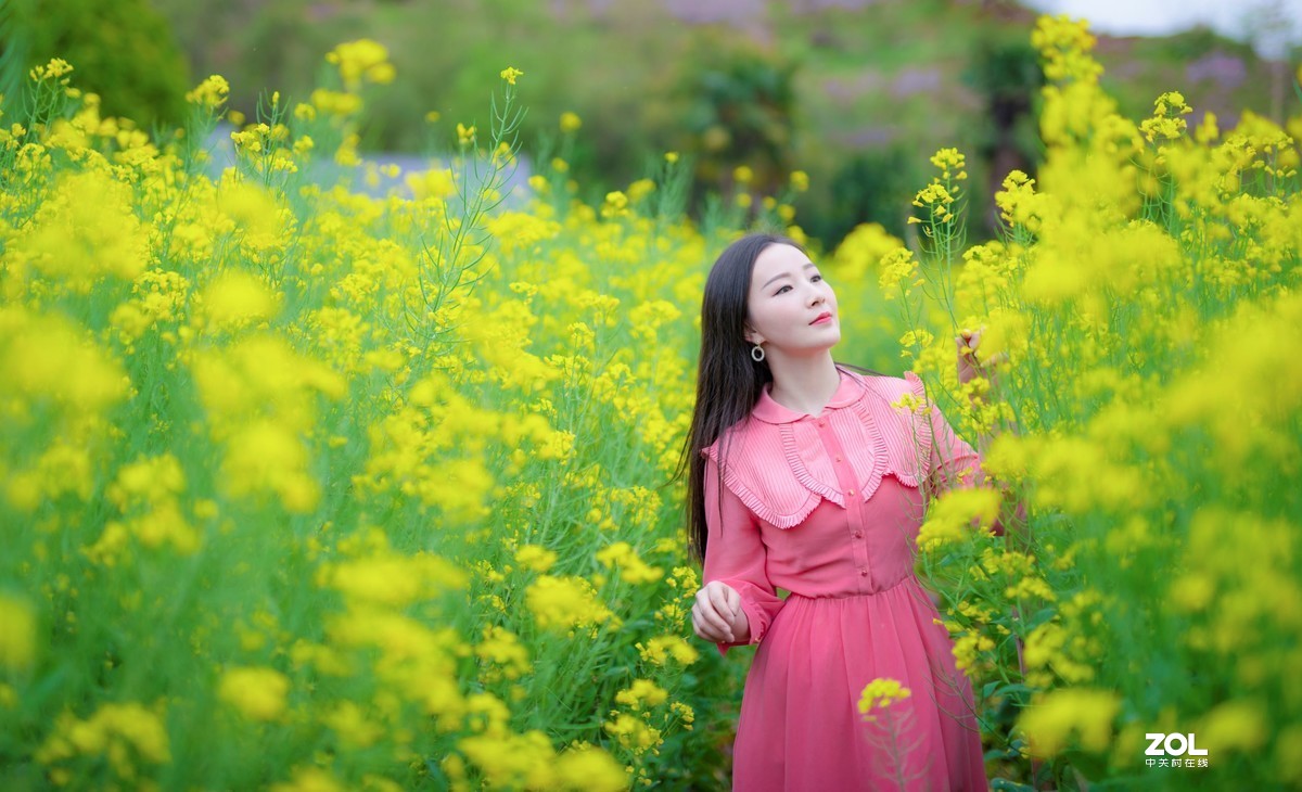 春光明媚的下午