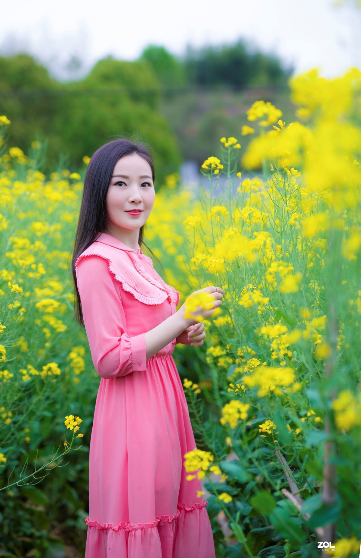 春光明媚的下午