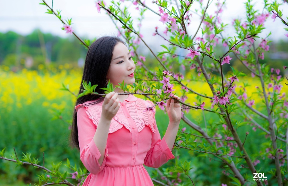 春光明媚的下午