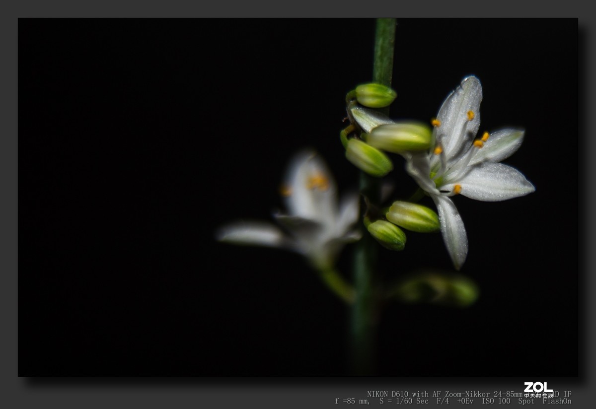 这个版块怎么没人呢？