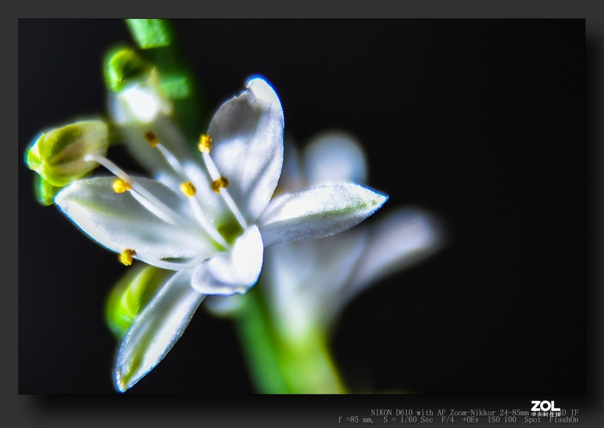 这个版块怎么没人呢？