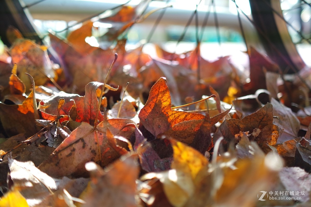 (轉帖)星空体育平台NX mini香港第一图