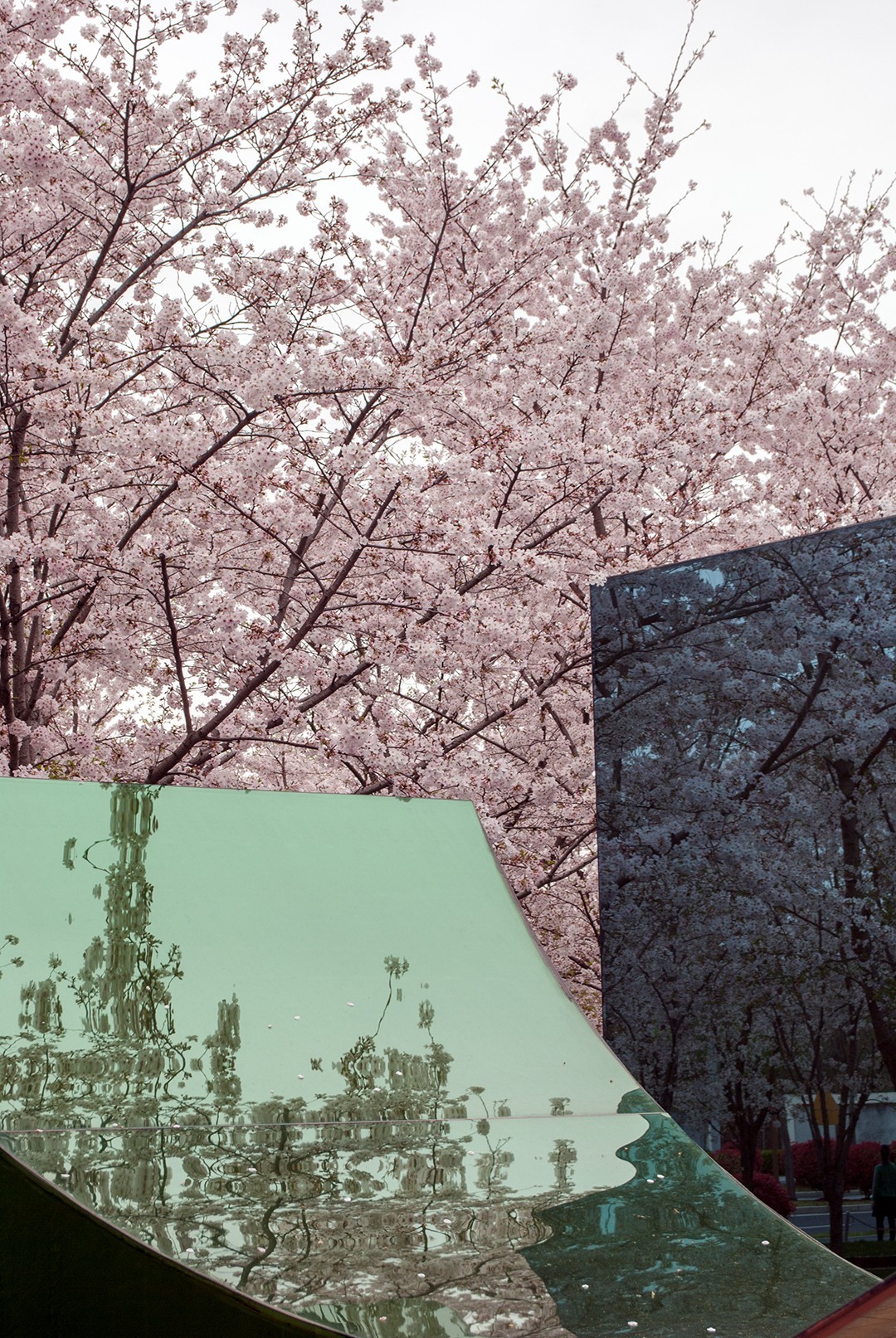 我和春天有个约会