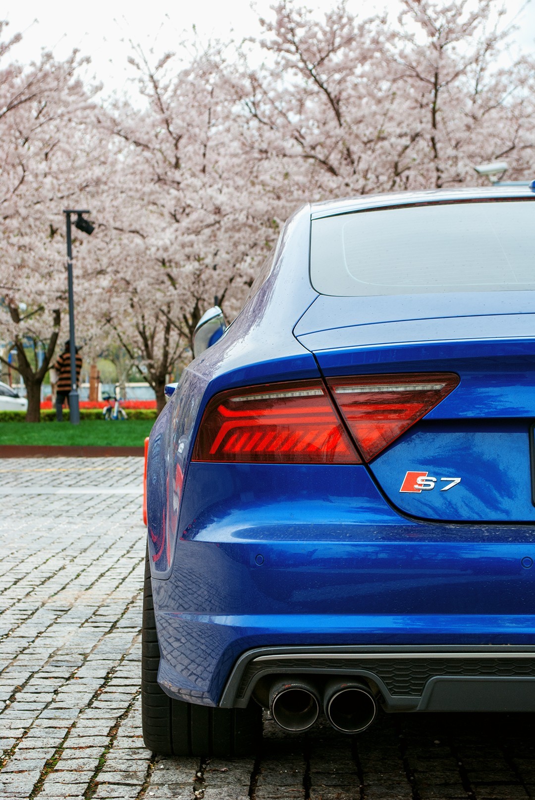 我和春天有个约会