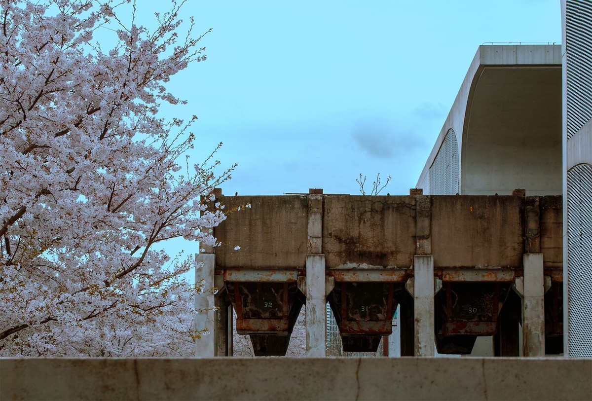 我和春天有个约会