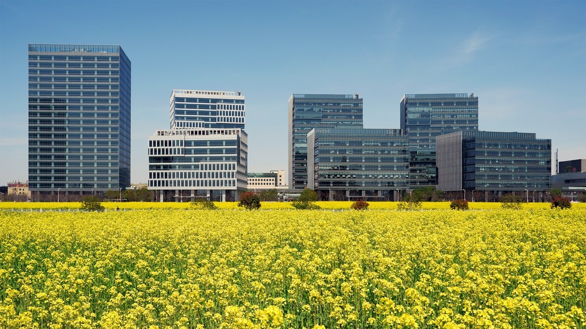 我和春天有个约会