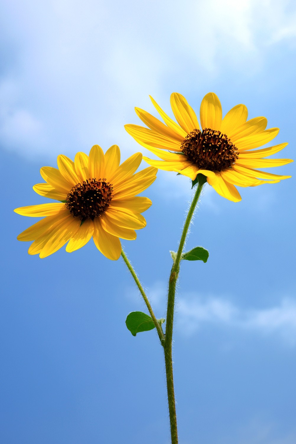 我和春天有个约会