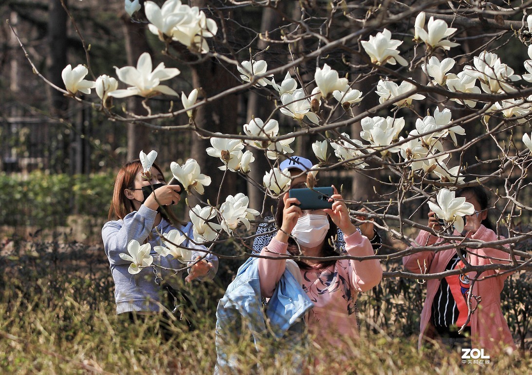 公园随拍还是《兰花与美女》又是一大堆妹子！哈哈！！