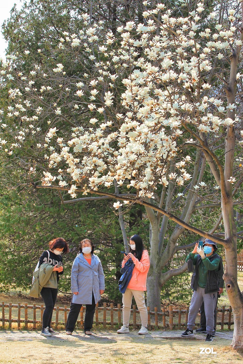 公园随拍还是《兰花与美女》又是一大堆妹子！哈哈！！
