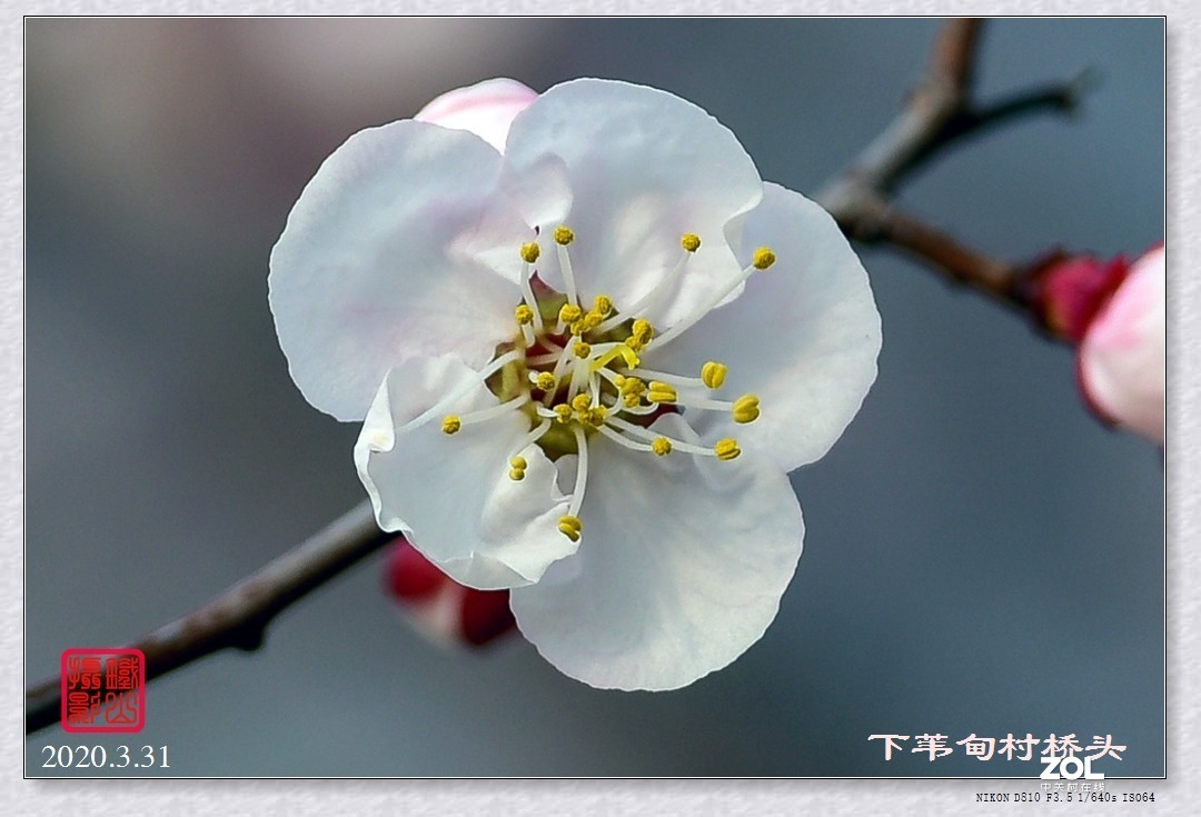 春暖花开(下苇甸桥头)