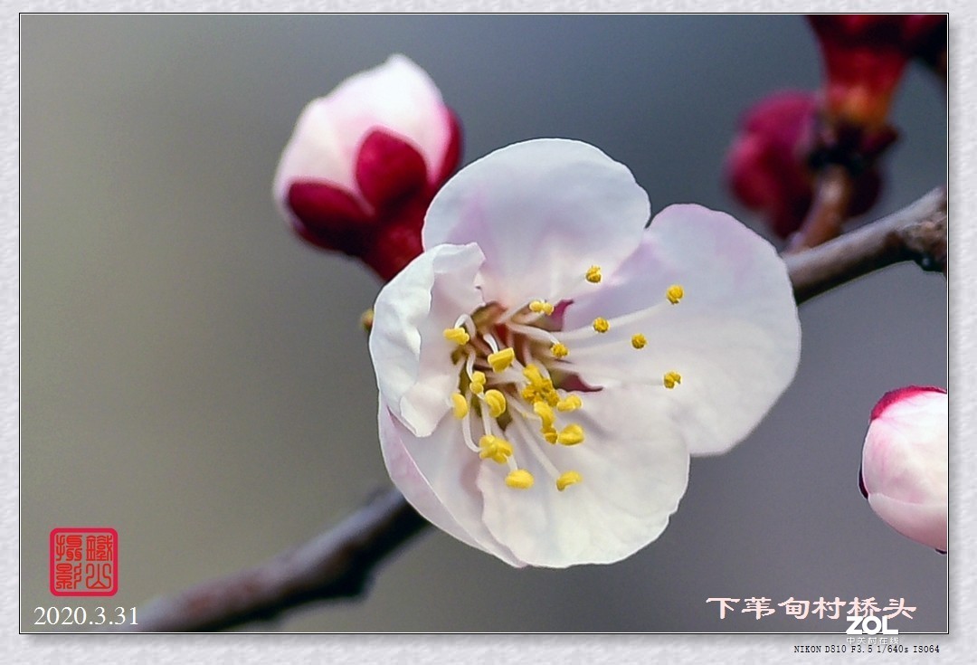 春暖花开(下苇甸桥头)