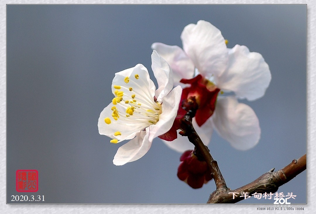 春暖花开(下苇甸桥头)