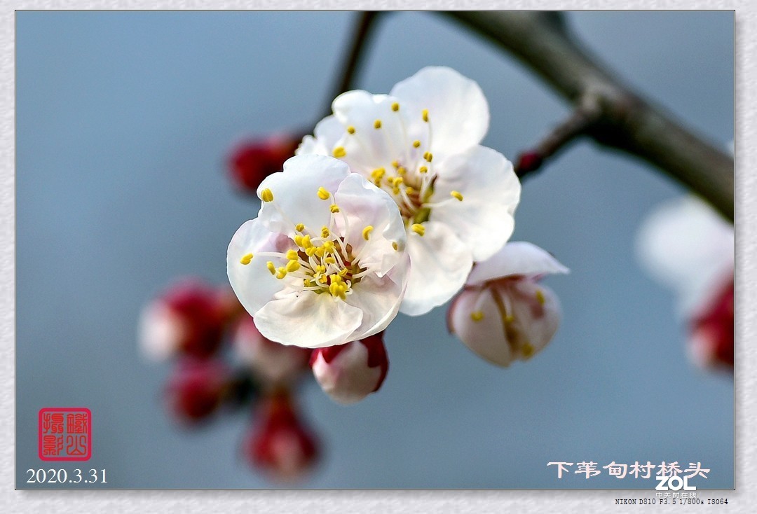 春暖花开(下苇甸桥头)