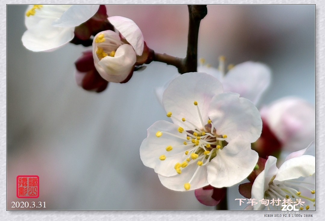 春暖花开(下苇甸桥头)