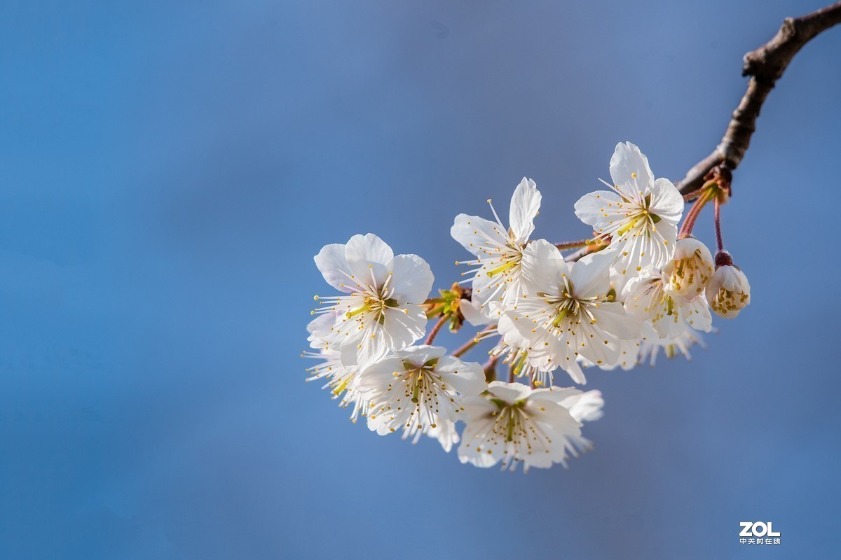 #版主坐堂#小五星空(中国)2020年三月精品荟萃