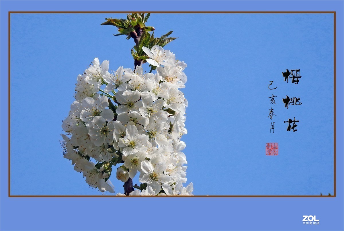 #版主坐堂#小五星空(中国)2020年三月精品荟萃