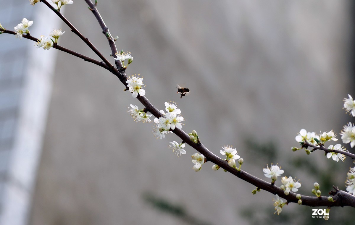 #版主坐堂#小五星空(中国)2020年三月精品荟萃