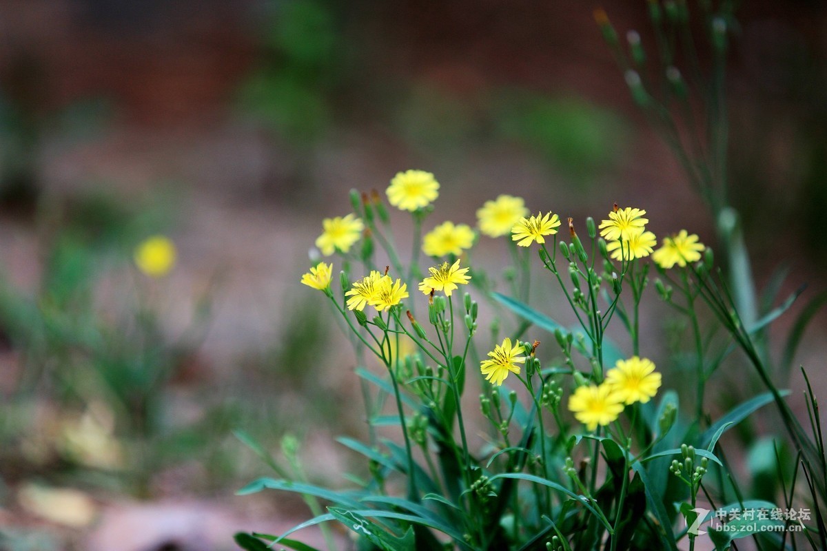 西安半坡国际艺术区