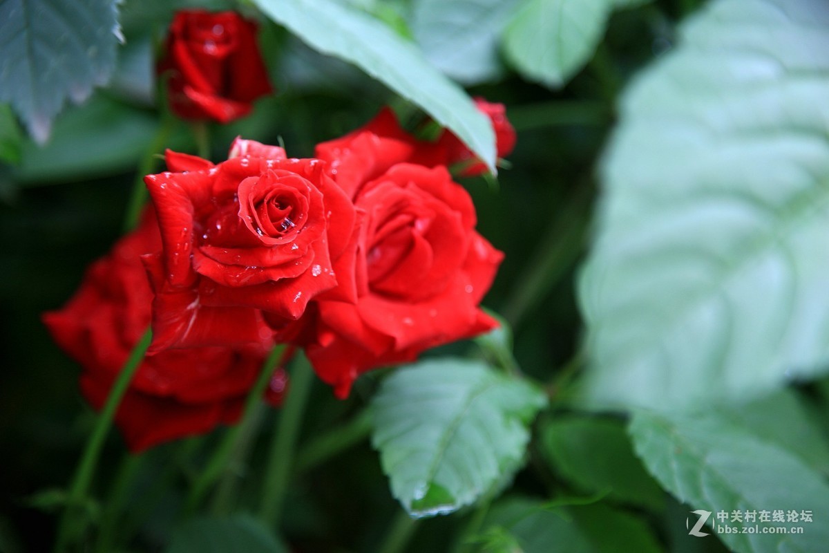 西安半坡国际艺术区