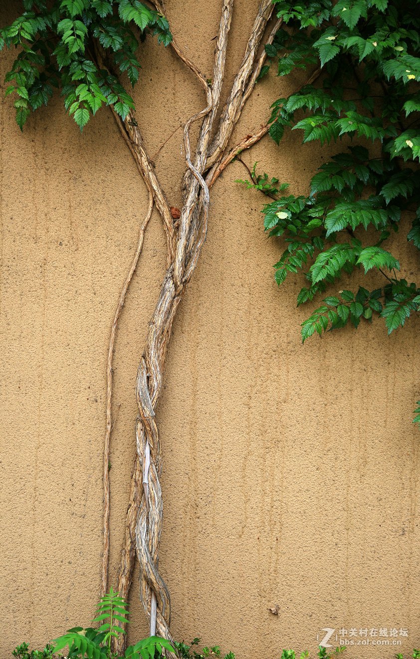 西安半坡国际艺术区