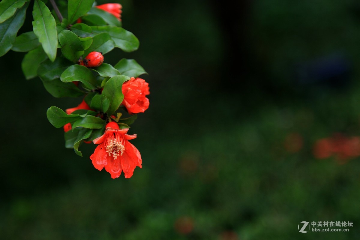 西安半坡国际艺术区