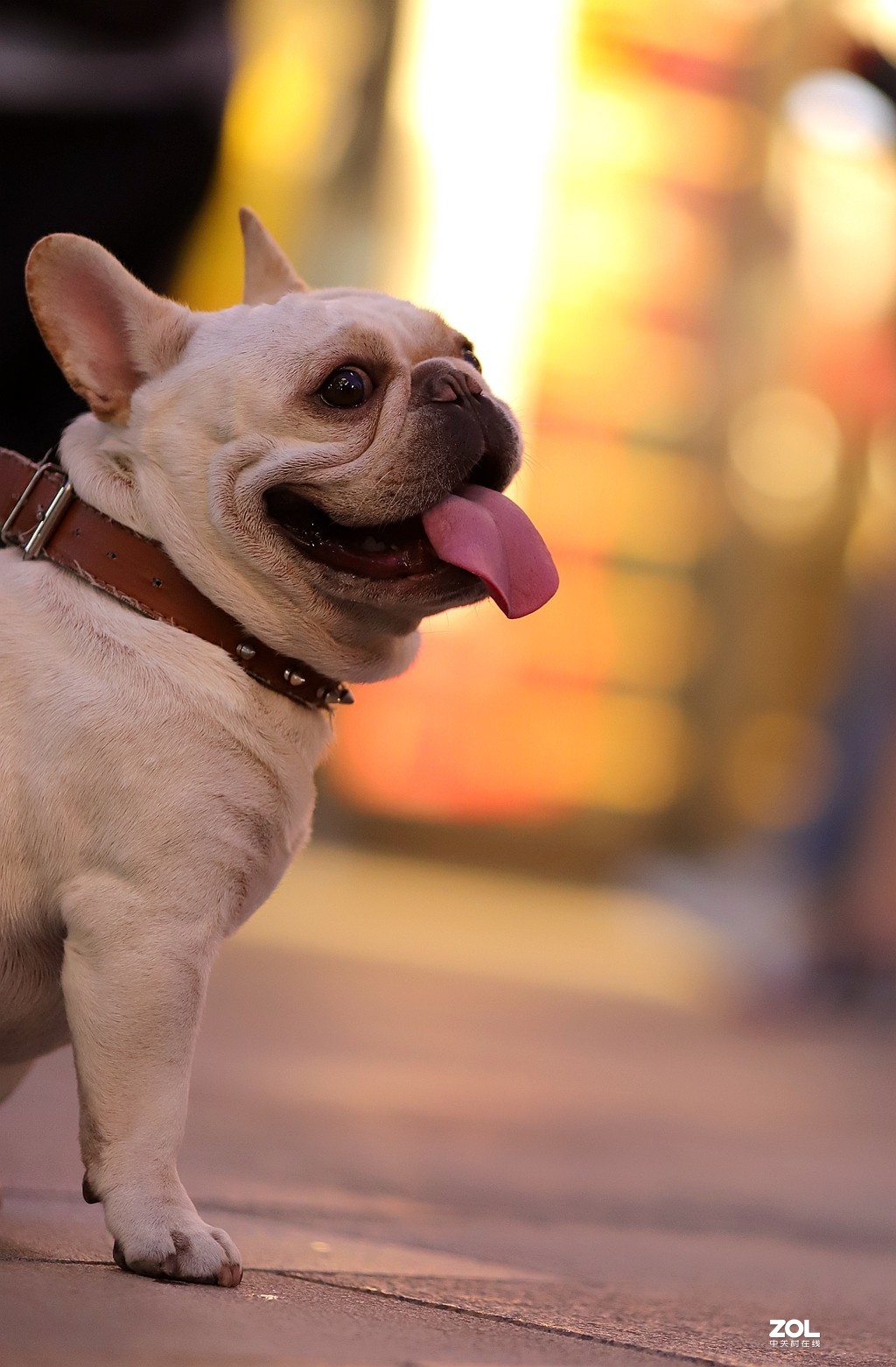 一组街拍杂图247