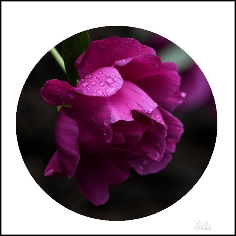 学习贴。。。。。。