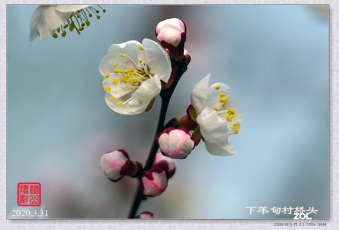 春暖花开(下苇甸桥头)