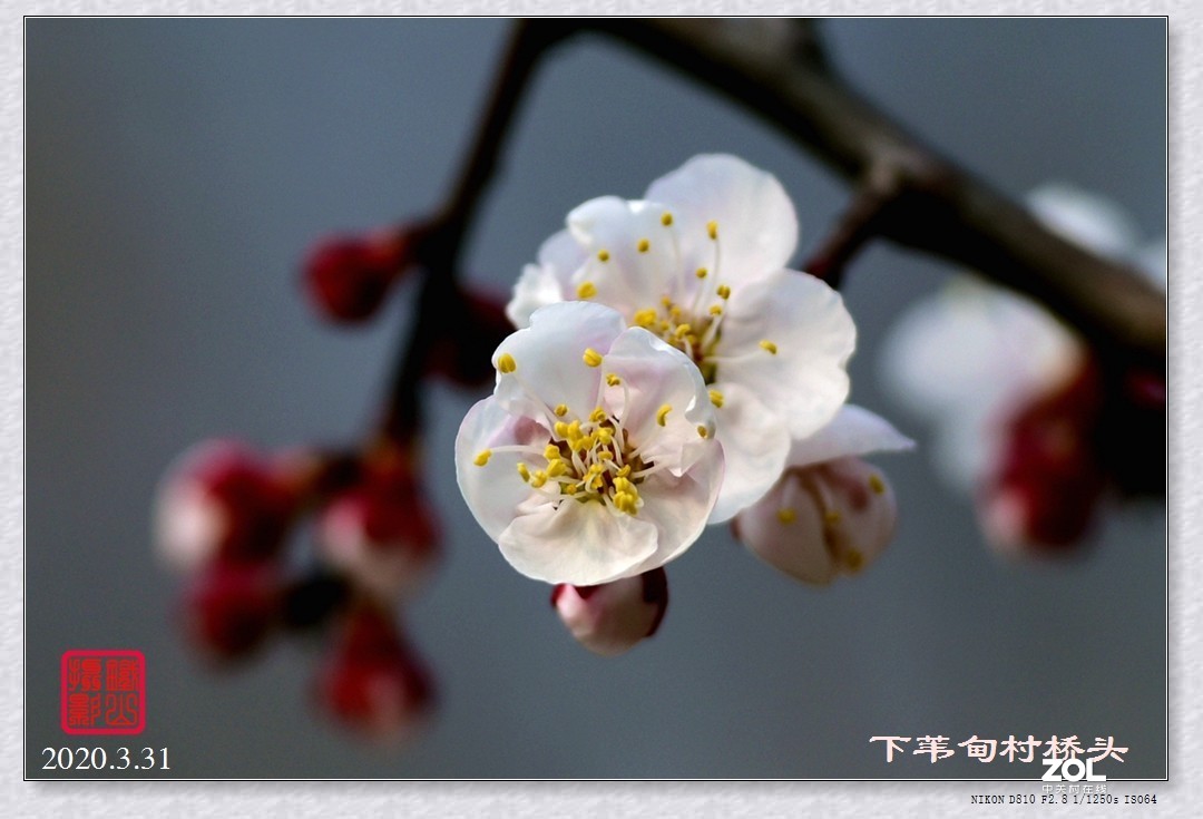 春暖花开(下苇甸桥头)