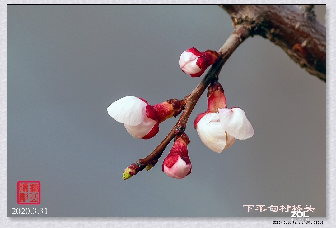 春暖花开(下苇甸桥头)