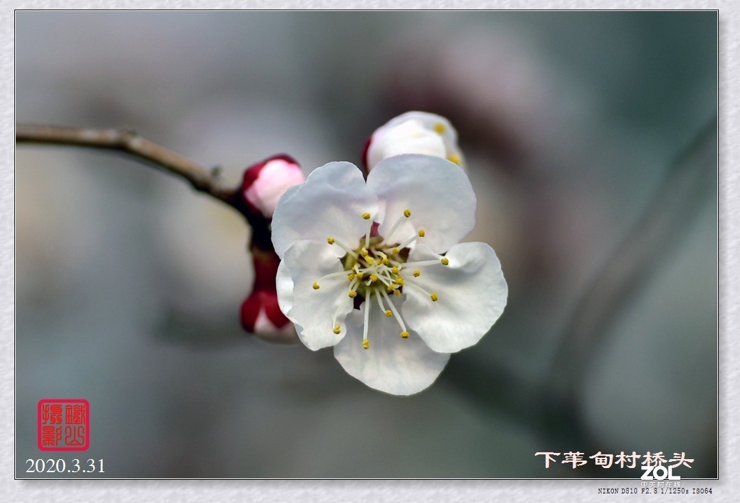 春暖花开(下苇甸桥头)