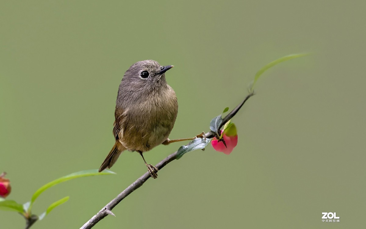 #版主坐堂#小五星空(中国)2020年三月精品荟萃