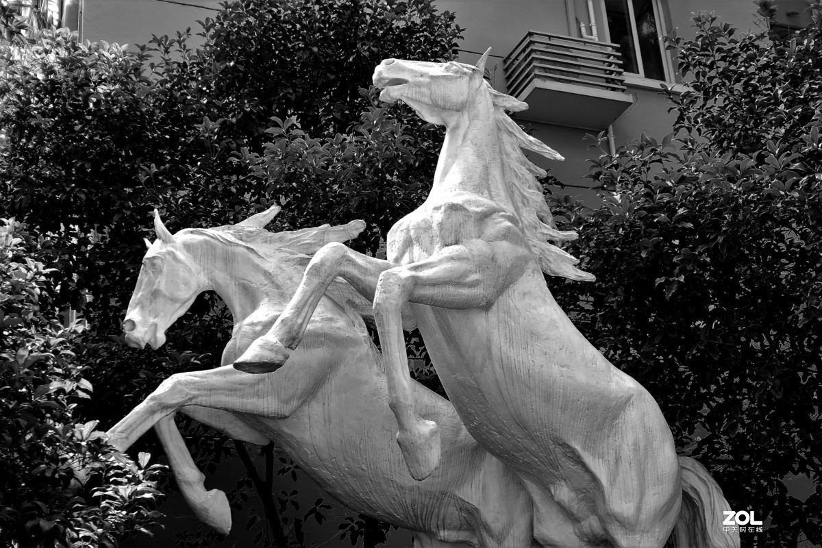 【奔腾2（黑白版）】——摄于中山西路延安西路口