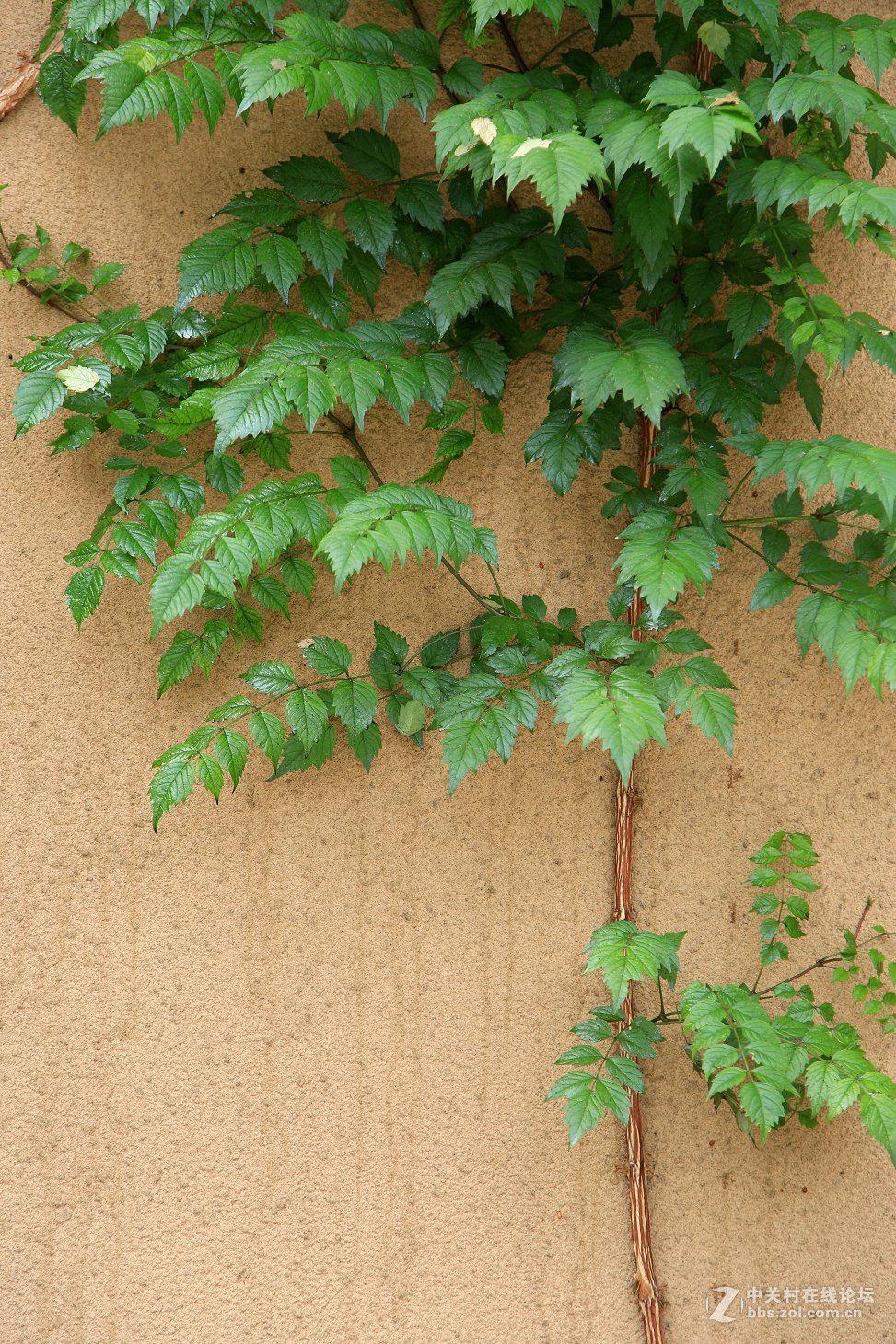 西安半坡国际艺术区