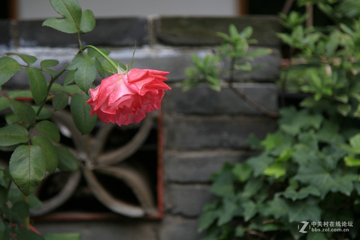 西安半坡国际艺术区