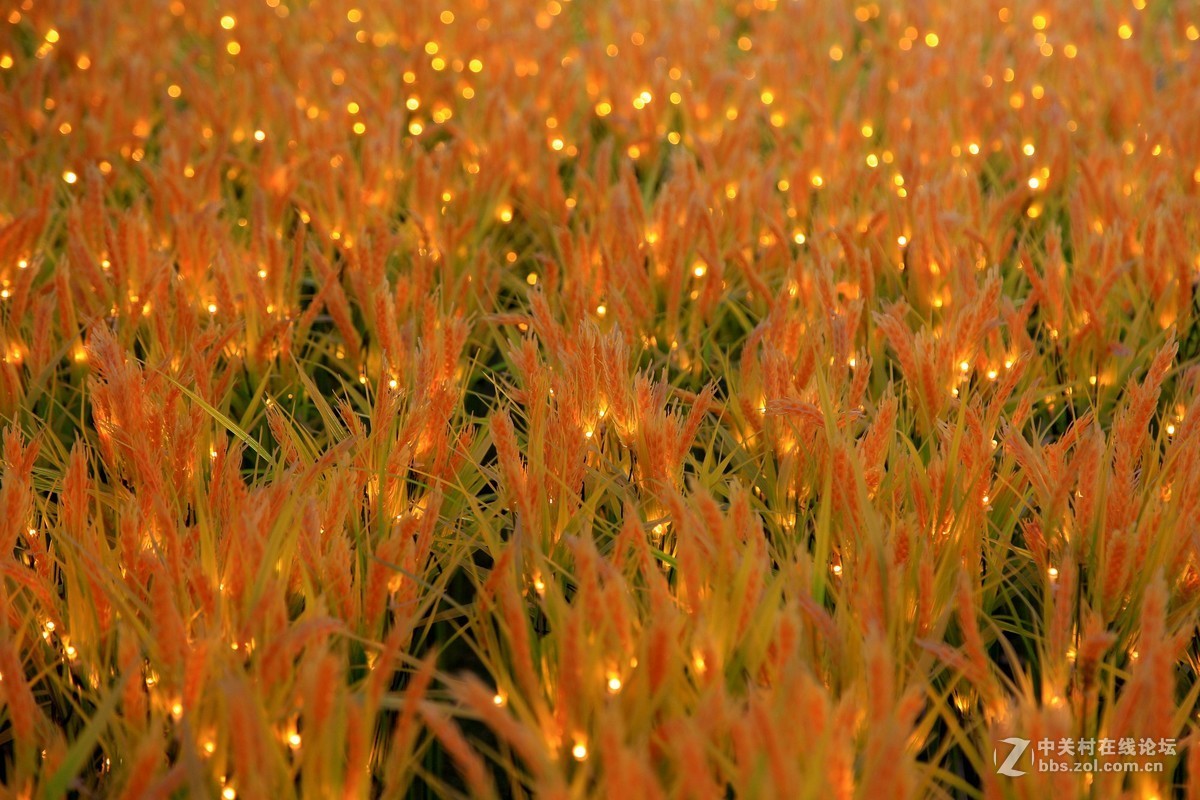 西安半坡国际艺术区