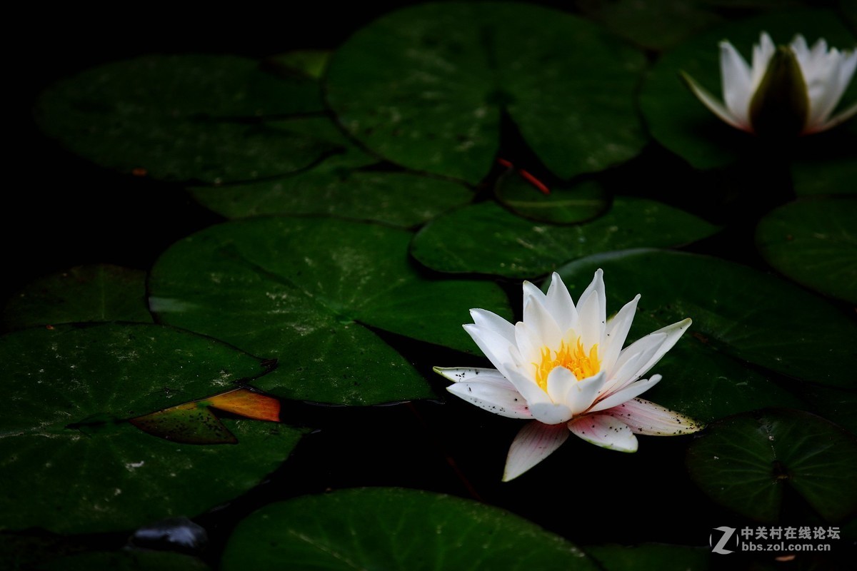 西安半坡国际艺术区