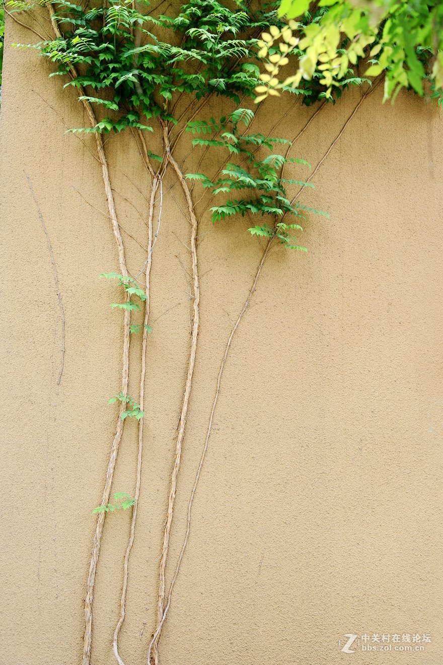 西安半坡国际艺术区