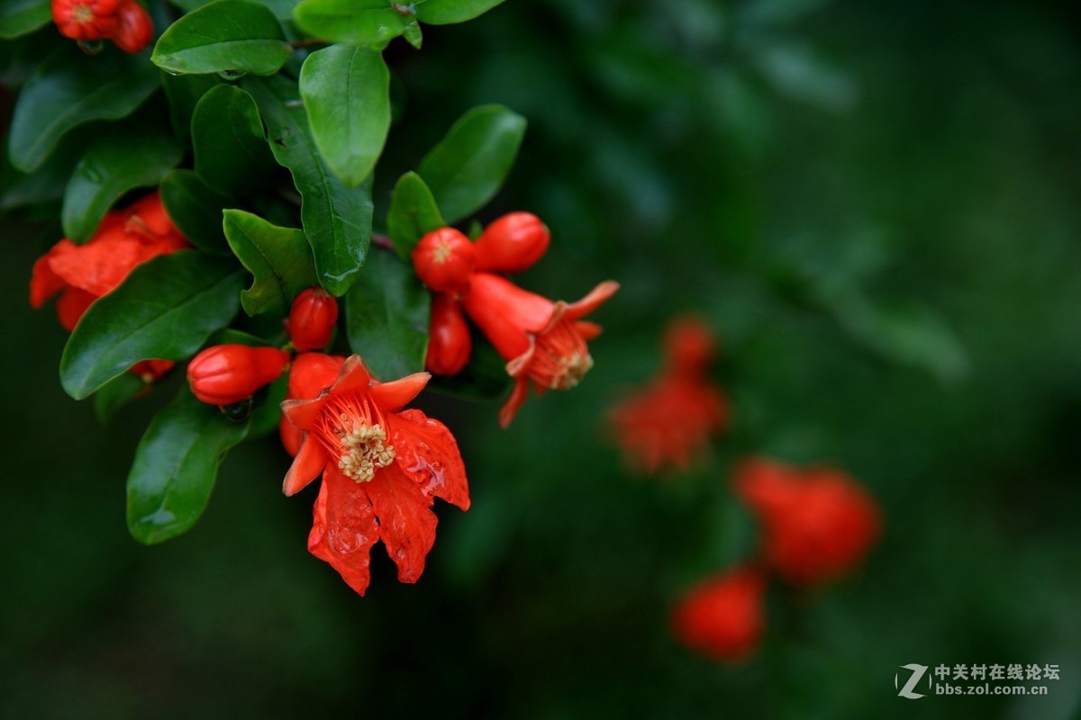 西安半坡国际艺术区