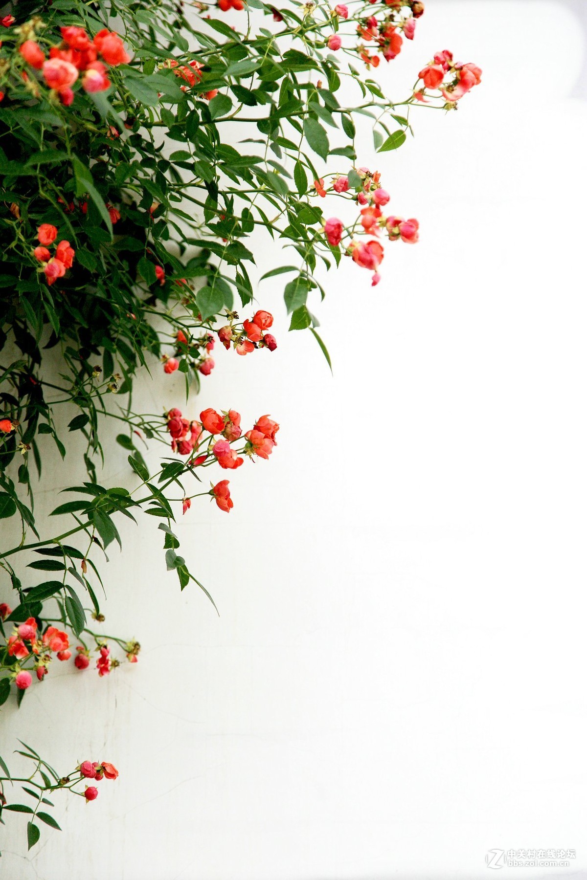 西安半坡国际艺术区