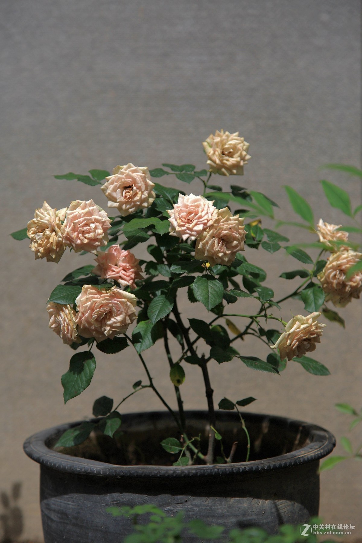 西安半坡国际艺术区