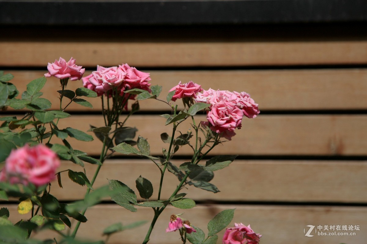 西安半坡国际艺术区