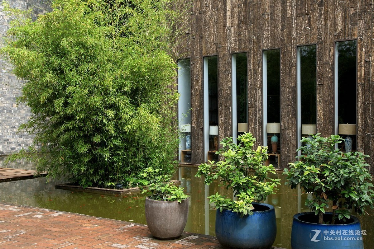 西安半坡国际艺术区