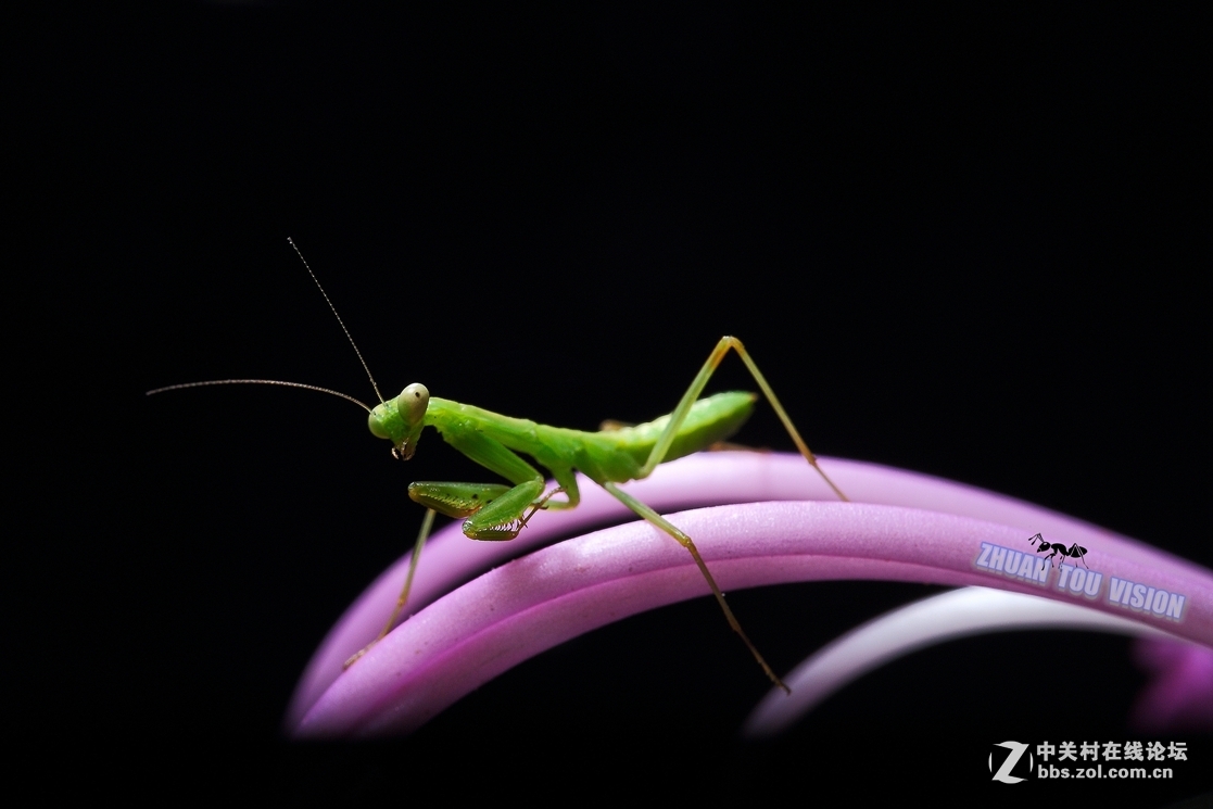 #2015年5月6D星空(中国)上半月精品汇集#