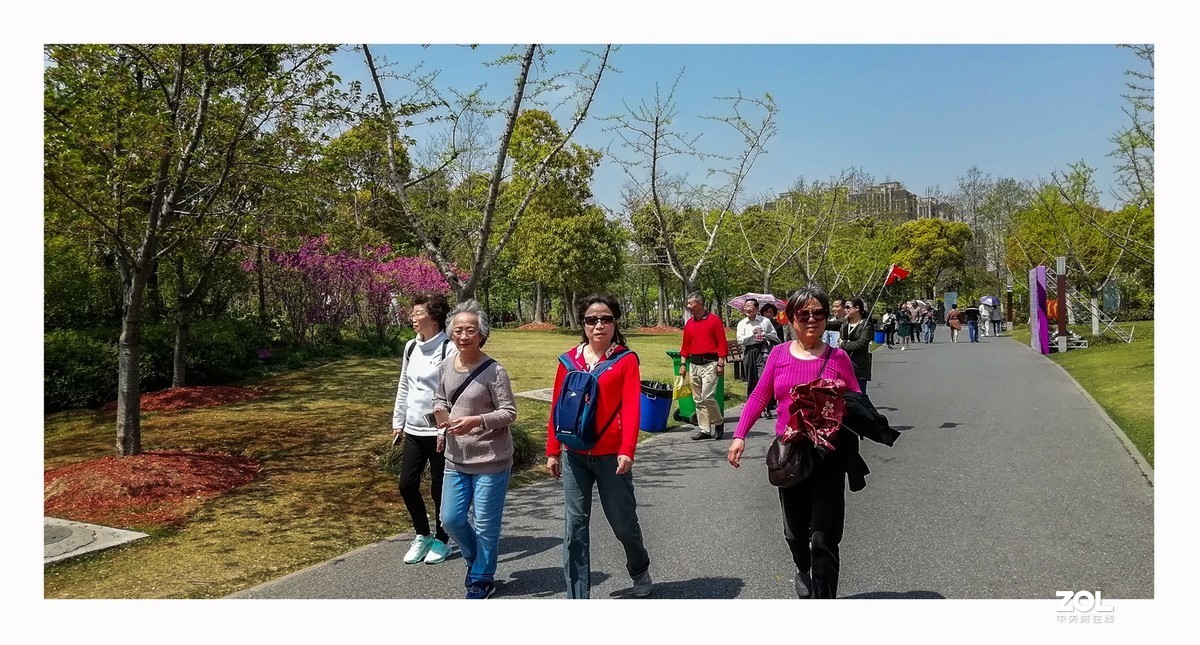 春游随记 （手机宽版）